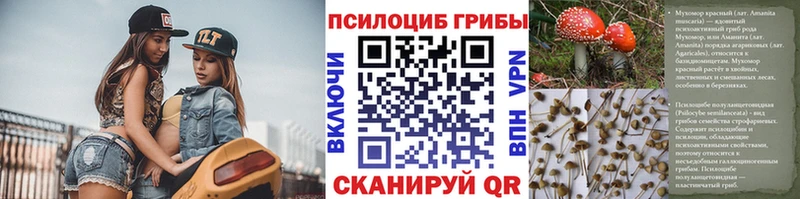 ссылка на мегу маркетплейс  Вологда  Псилоцибиновые грибы мухоморы 