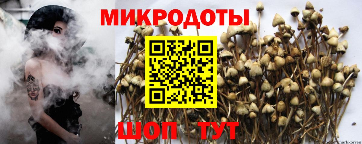 Вологда  Псилоцибиновые грибы ЛСД  Вход с VPN 